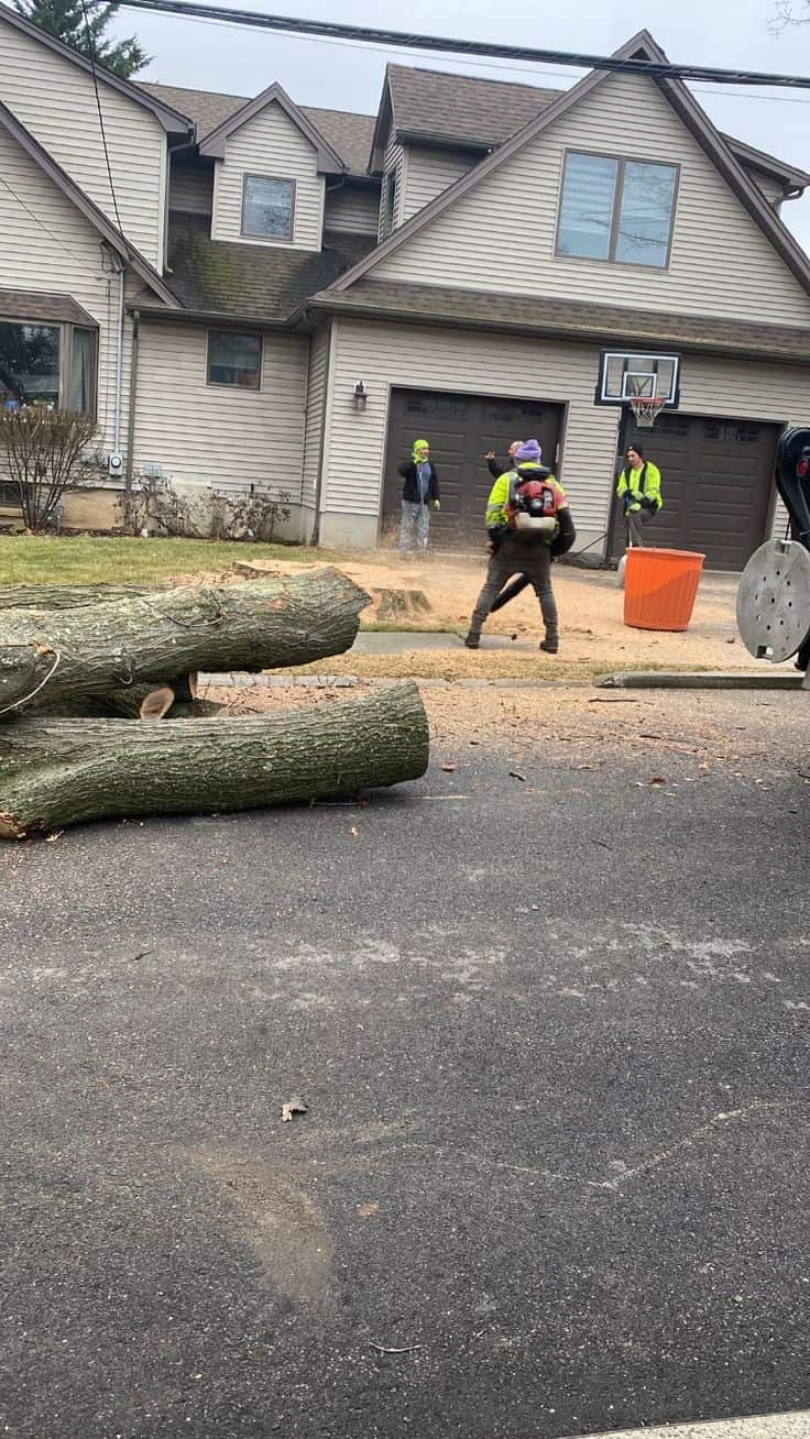 William Hughes, ISA-Certified Arborist and founder of Bee Wise Tree Service